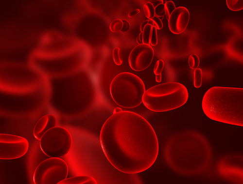 Gesundes Blut ist wichtig