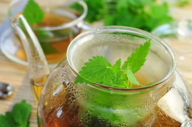 Gesunde Kräuter für die Leber
