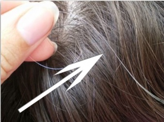 Mythen über graue Haare - falsch oder wahr?