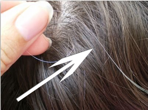 Mythen über graue Haare – falsch oder wahr?