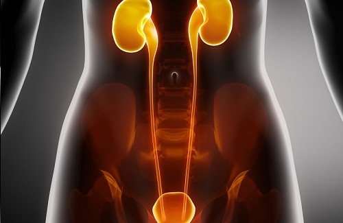 Nierenbeschwerden als Auslöser für rechtsseitige Bauchschmerzen