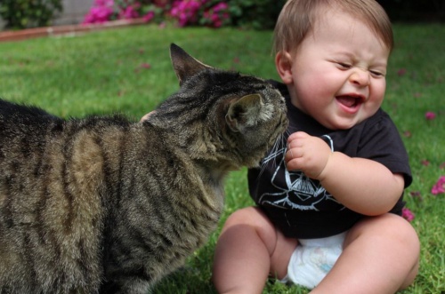 Katze und Baby