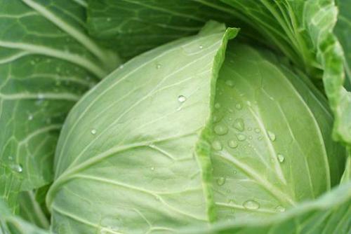 Kohl