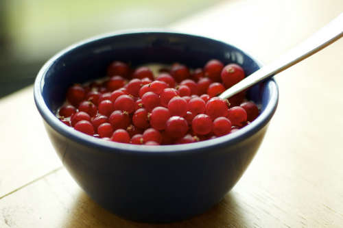 Johannisbeeren