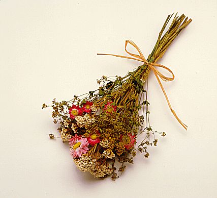 Trockenblumen