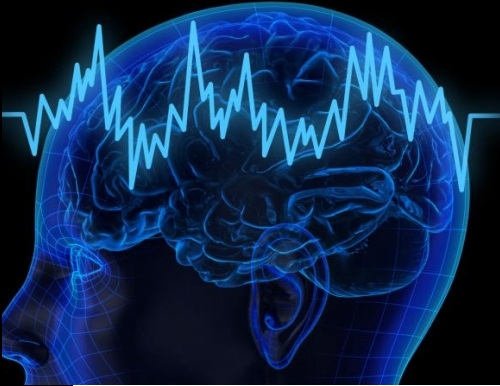 5 Nahrungsmittel, die gut fürs Gedächtnis sind