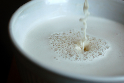 pflanzenmilch