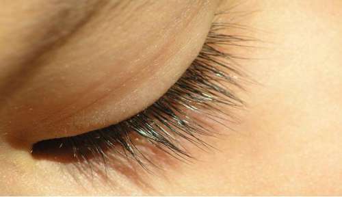 wimpern2