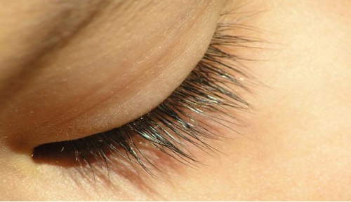 wimpern