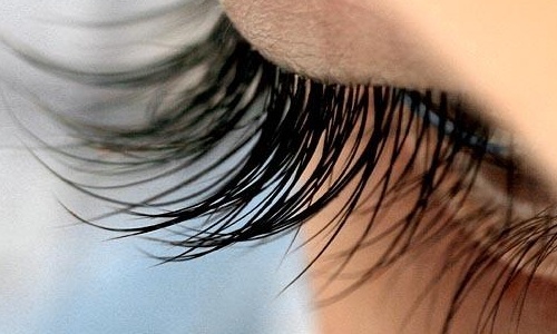 wimpern
