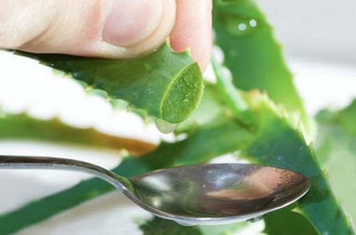 Aloe-vera-Löffel