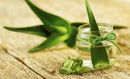 Aloe-Glas