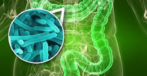 Dein Darm ist bakteriell falsch besiedelt: 10 Anzeichen