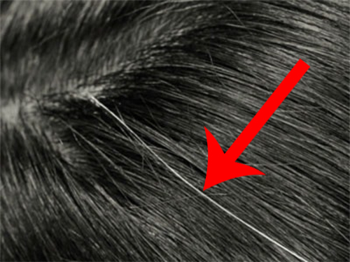 Färben schwarzem haare tee mit graue Graue Haare