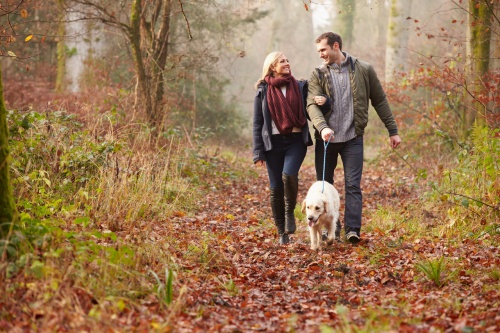 Ein Spaziergang in der freien Natur hilft bei depressiver Verstimmung
