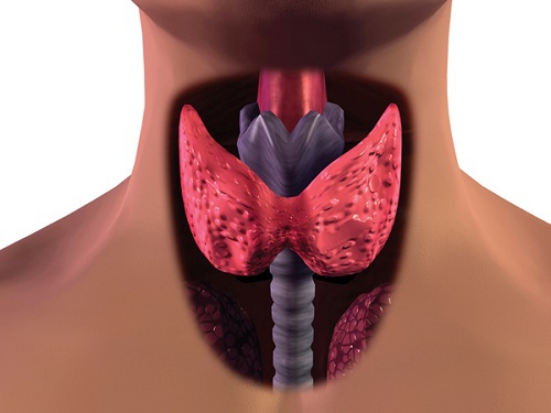 Hypothyreose: 3 Empfehlungen zur unterstützenden Behandlung