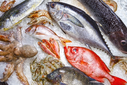fische