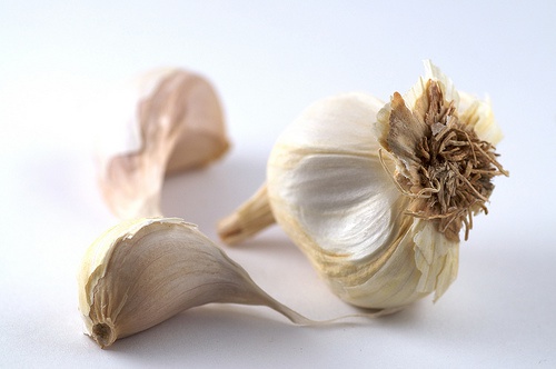 knoblauch-morberg1