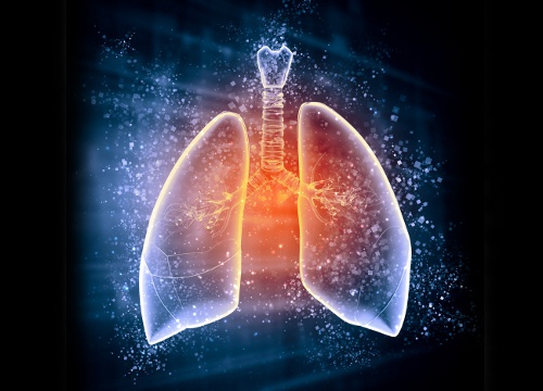 Warum die Entgiftung der Lunge so wichtig ist