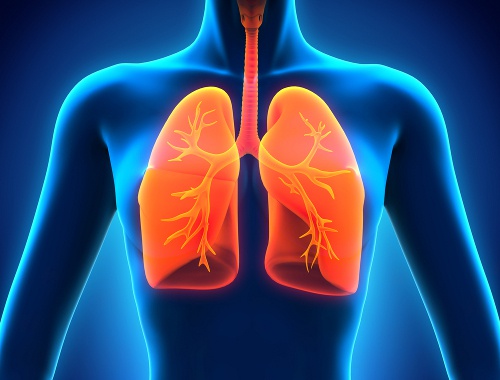 So funktioniert die Entgiftung der Lunge