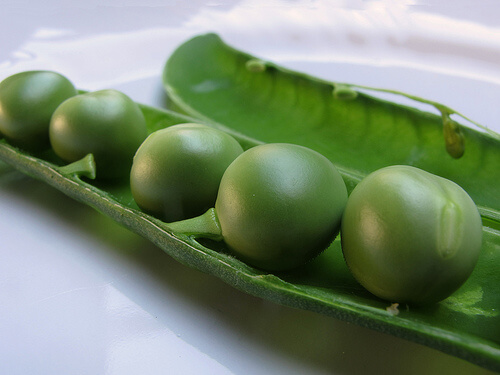 Erbsen-ein-grosser-vegetarischer-Protein-und-Ballaststoff-lieferant
