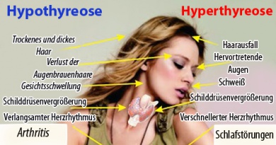 Nahrungsmittel zur Regelung der Schilddrüsenfunktion