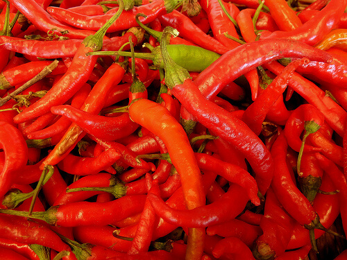 cayenne