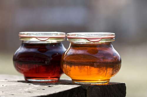 Hustensaft aus Honig