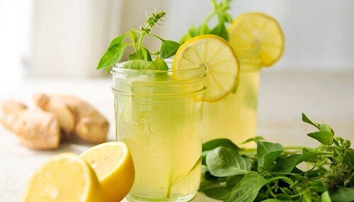 Drink aus Ingwer, Zitrone und Minze