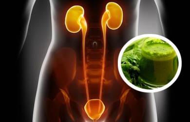 Tipps zur Ausleitung von Schadstoffen aus Nieren und Blase