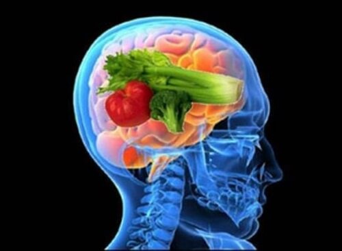 Entdecke-die-Vorzüge-der-Gehirn-Diät