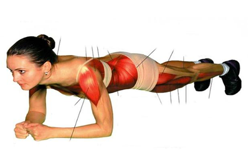 „Plank“: eine einfache Übung, die den gesamten Körper stählt