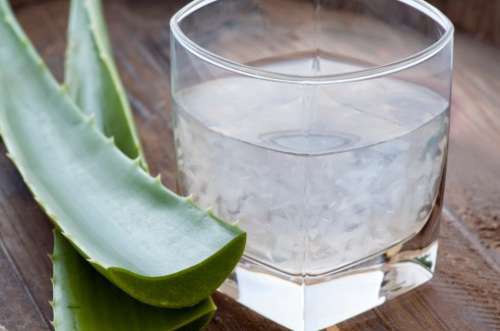 aloe