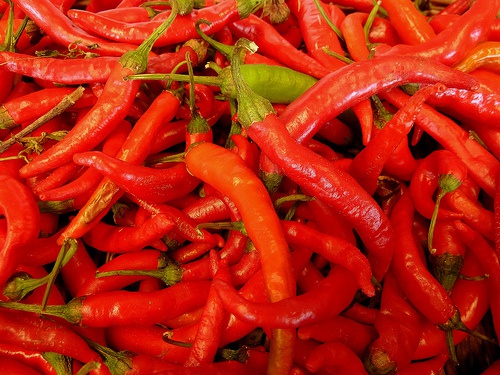cayenne