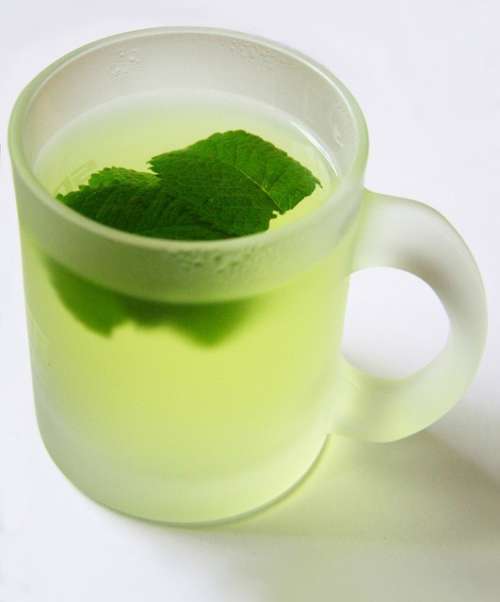 minz-salat-tee