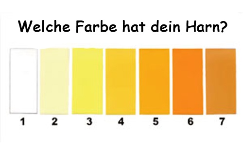 Veränderungen des Urins