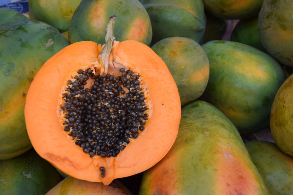 Die Vorteile der Papaya und ihrer Samen Besser Gesund Leben