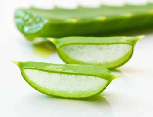 Aloe-vera2