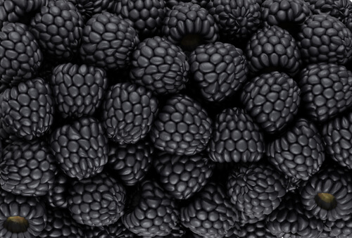 Beeren-Zitrone-Minze