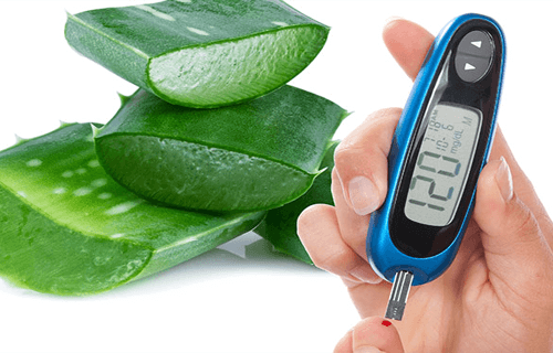 Aloe Vera gegen Diabetes Typ II