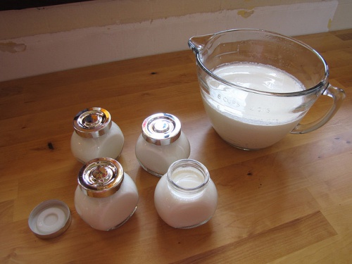 Joghurt für Aufbau der Darmflora