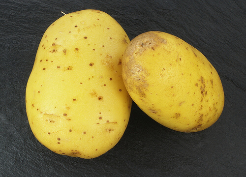 Kartoffeln