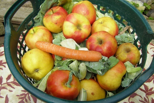 karotten-kohl-apfel