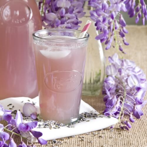 ausgezeichnete Kräutertees mit Lavendel