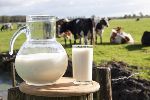 milch