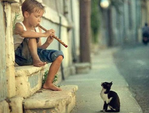 musik
