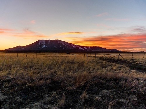 vorteile-des-landlebens