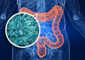 Möchtest du deine Gesundheit verbessern? Dann beginne beim Darm...