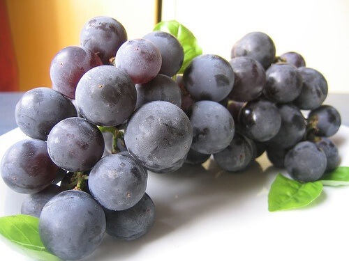 Weintrauben, eine natürliche Medizin für deine Nieren