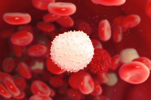 Immunabwehr